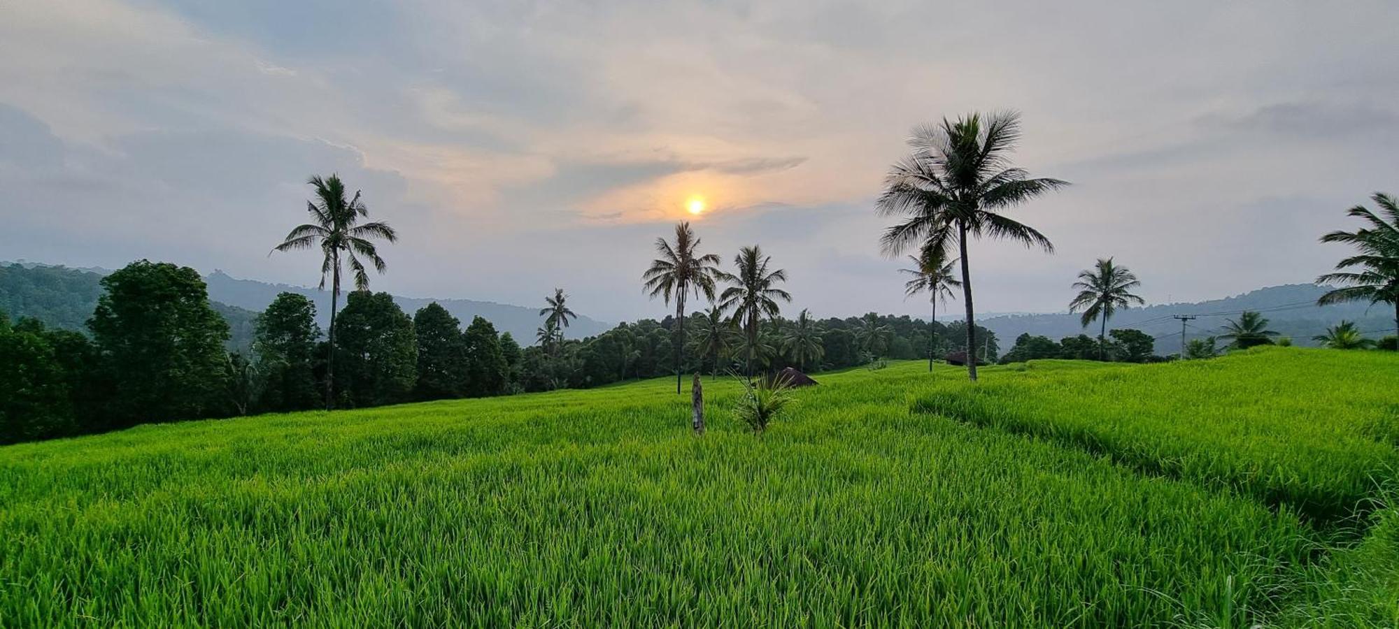 Vila Utopiaku - Munduk Highlands Exteriér fotografie