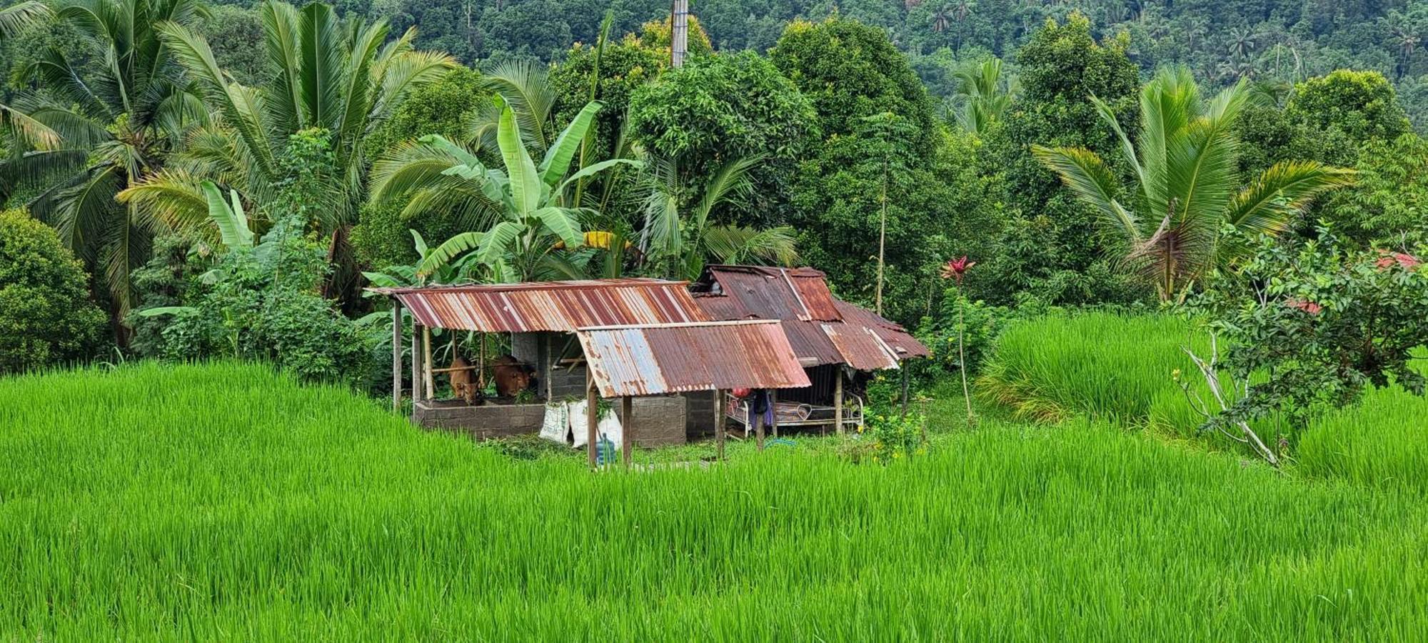 Vila Utopiaku - Munduk Highlands Exteriér fotografie