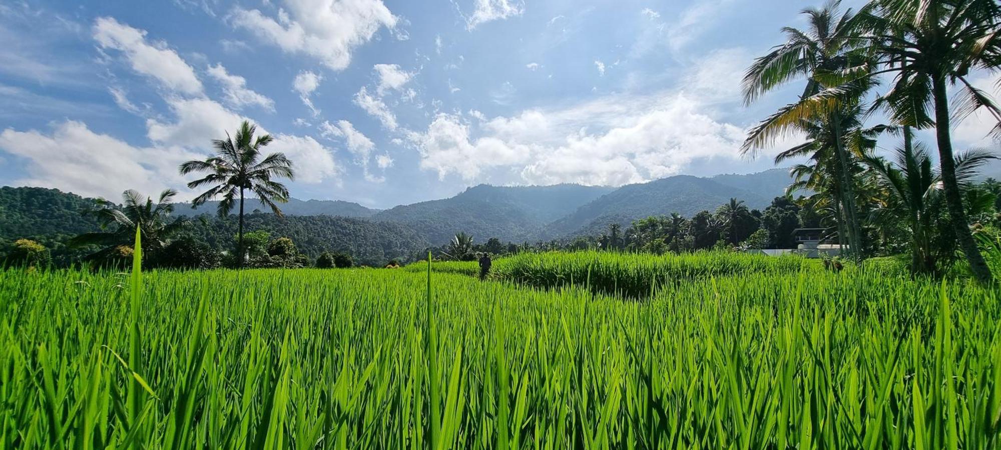 Vila Utopiaku - Munduk Highlands Exteriér fotografie