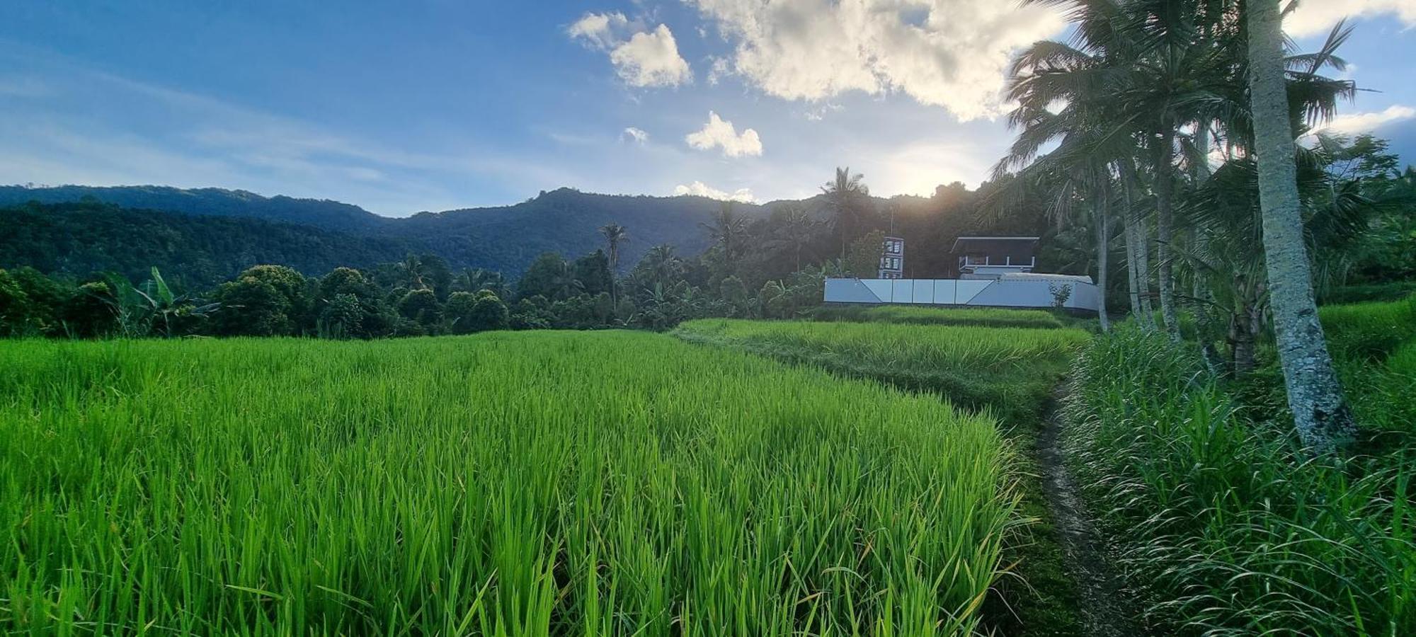 Vila Utopiaku - Munduk Highlands Exteriér fotografie
