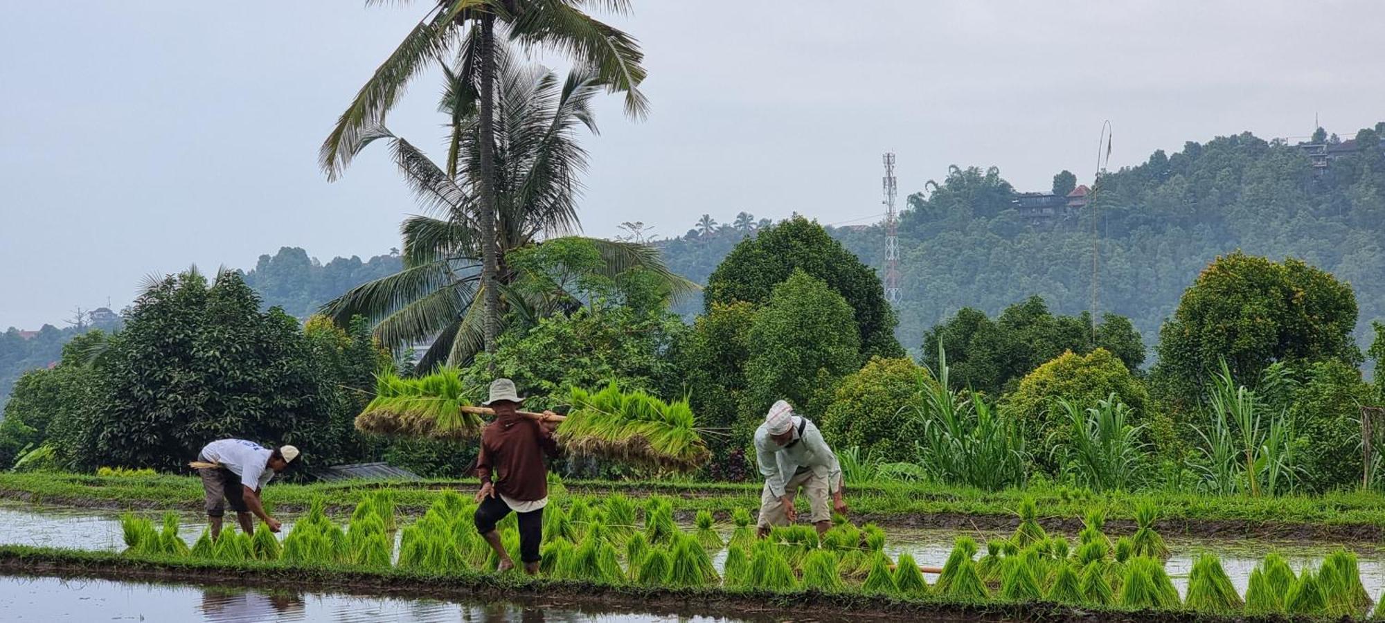 Vila Utopiaku - Munduk Highlands Exteriér fotografie
