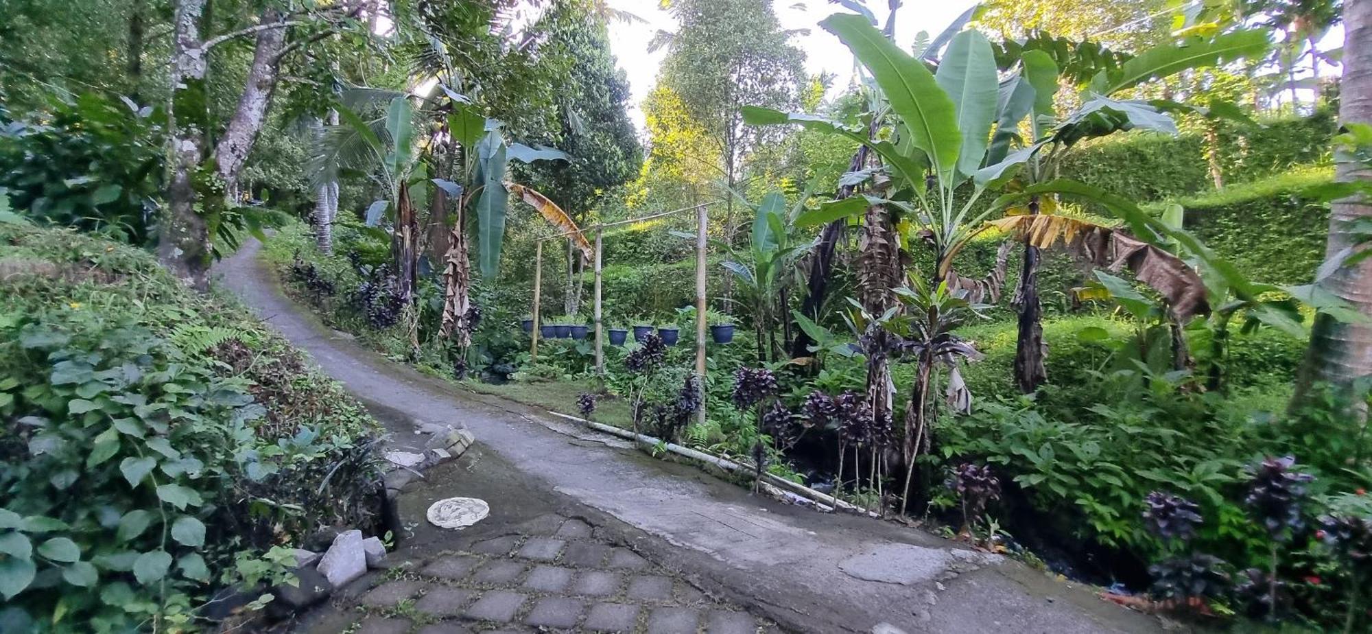 Vila Utopiaku - Munduk Highlands Exteriér fotografie
