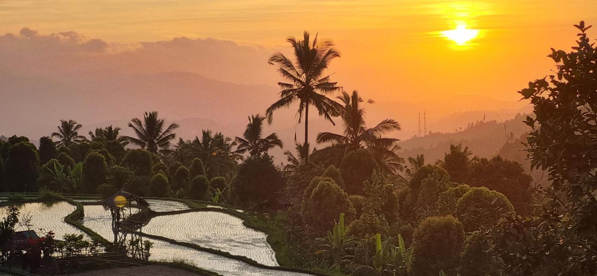 Vila Utopiaku - Munduk Highlands Exteriér fotografie